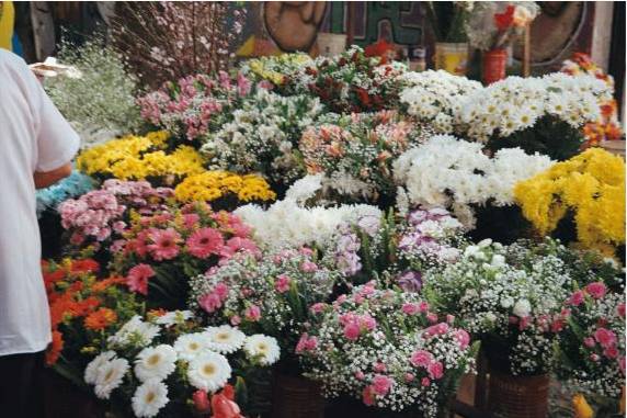 Cours de composition florale