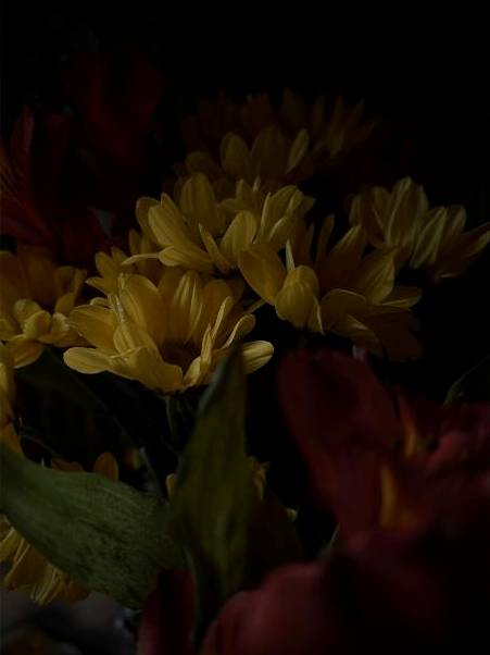 Bouquet de saison