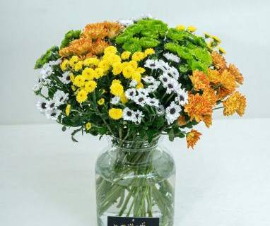 Fleurs et outils