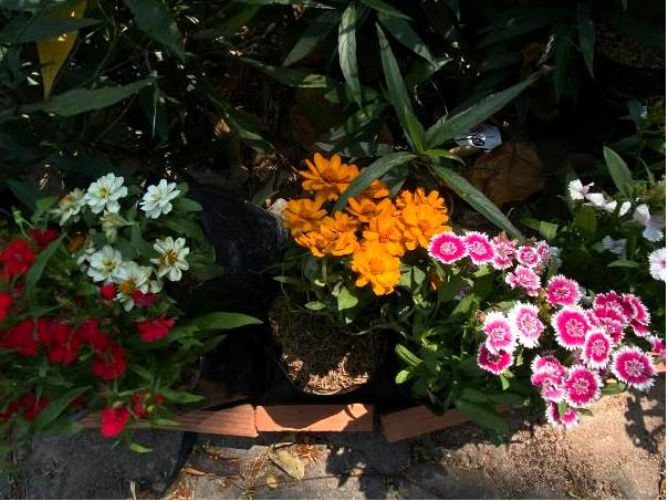 Bouquet sculptural