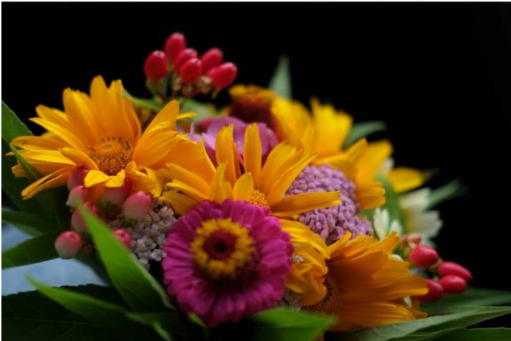 Arche florale mariage Offremania