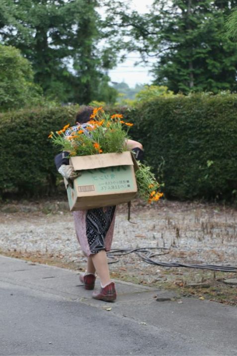Détails d'un arrangementstructuré